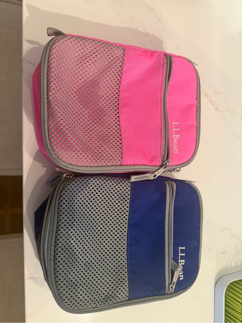 L.L.Bean Pink and Blue Insulated Lunch Bags Duo